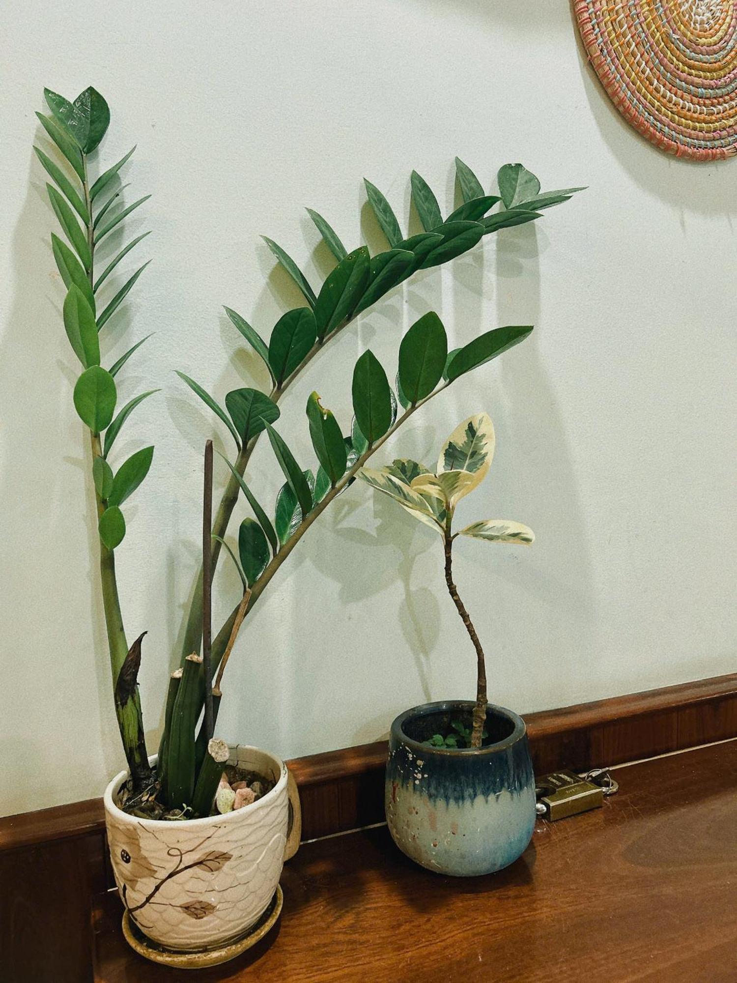 Nang Homestay Туихоа Экстерьер фото